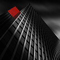 Red Reflections